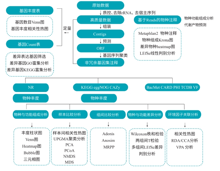 宏轉錄組測序分析流程 宏轉錄組測序分析流程