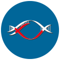 真核生物無(wú)參考基因組的轉錄組分析平臺