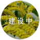 谷子數據庫