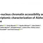 單細胞多組學(xué)揭示阿爾茨海默癥的單核染色質(zhì)可及性和轉錄組特征