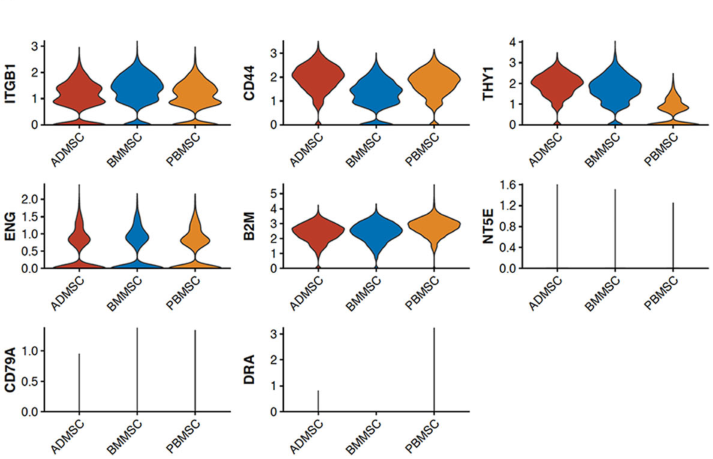 圖1從3個(gè)供者匹配的組織來(lái)源分離的馬間充質(zhì)基質(zhì)細胞（MSCs）的表征
