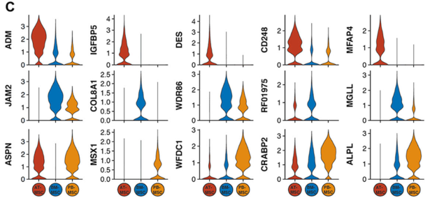 圖2單細胞RNA測序（sc?RNAseq）數據揭示了馬間充質(zhì)基質(zhì)細胞（MSCs）的源間變異