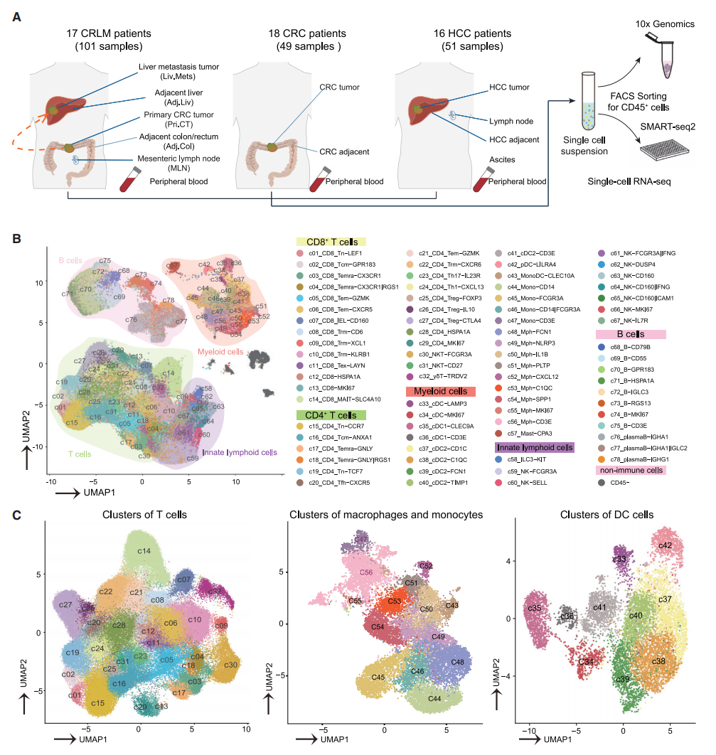 圖1 CRLM、HCC和CRC不同的免疫特征