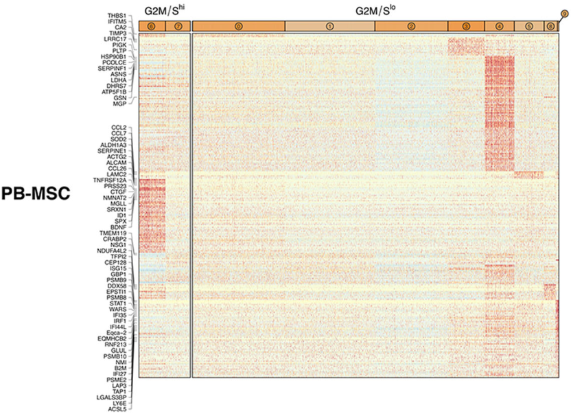 圖5從3個(gè)供體匹配組織來(lái)源分離的馬間充質(zhì)基質(zhì)細胞（MSCs）表現出源內轉錄異質(zhì)性