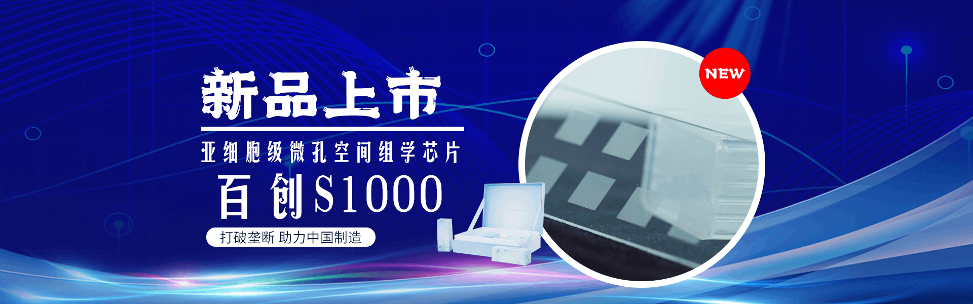 百創(chuàng  )s1000