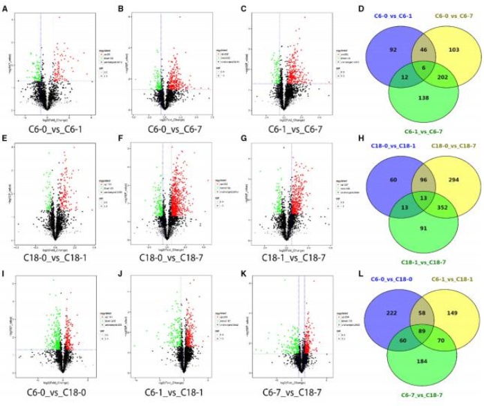 差異累積代謝物的火山圖，以及對照與其時(shí)間點(diǎn)的比較