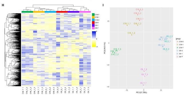 非靶向代謝組的無(wú)監督層次聚類(lèi)分析和 PCA 分析