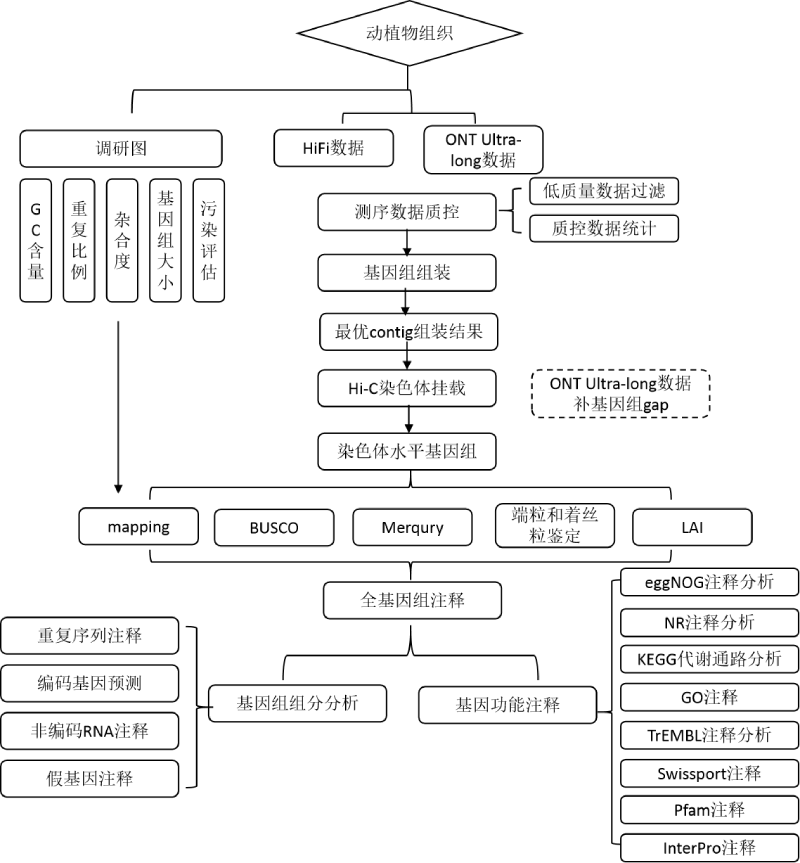 T2T基因組技術(shù)路線(xiàn)