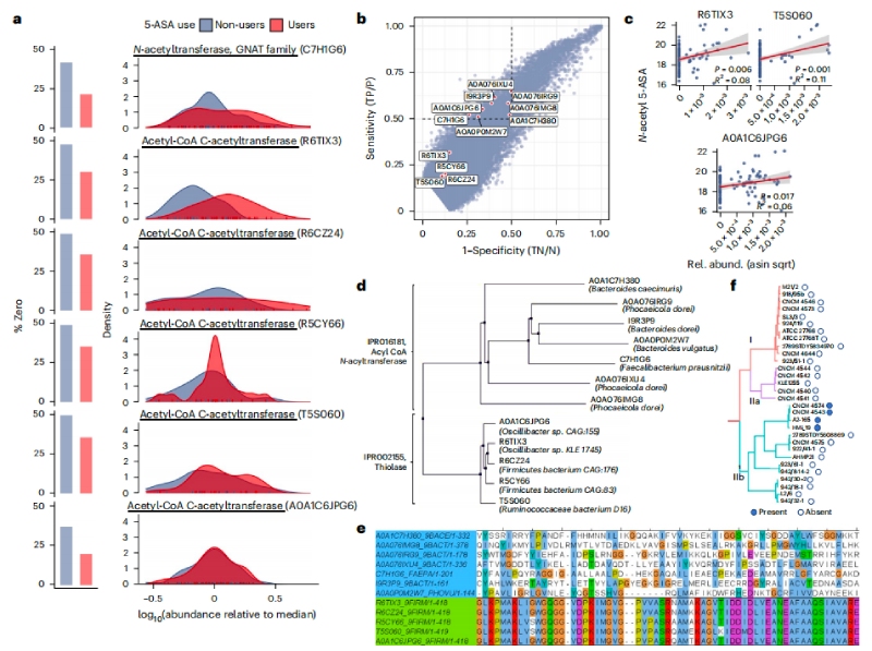 圖2N-乙酰5-ASA微生物酶包括硫代酶和?；o酶A N-乙酰轉移酶
