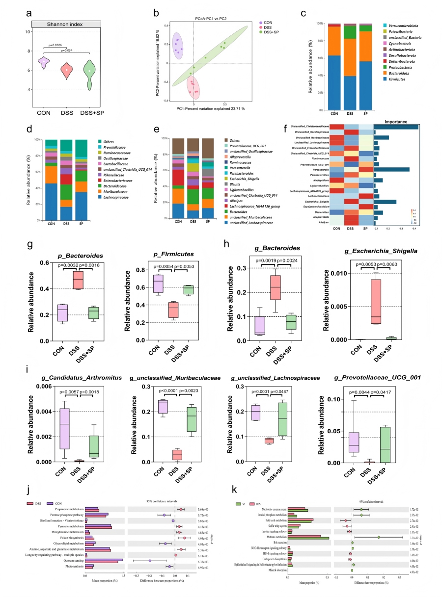 圖3 SP可改善DSS誘導小鼠的腸道菌群失調并改變微生物組功能