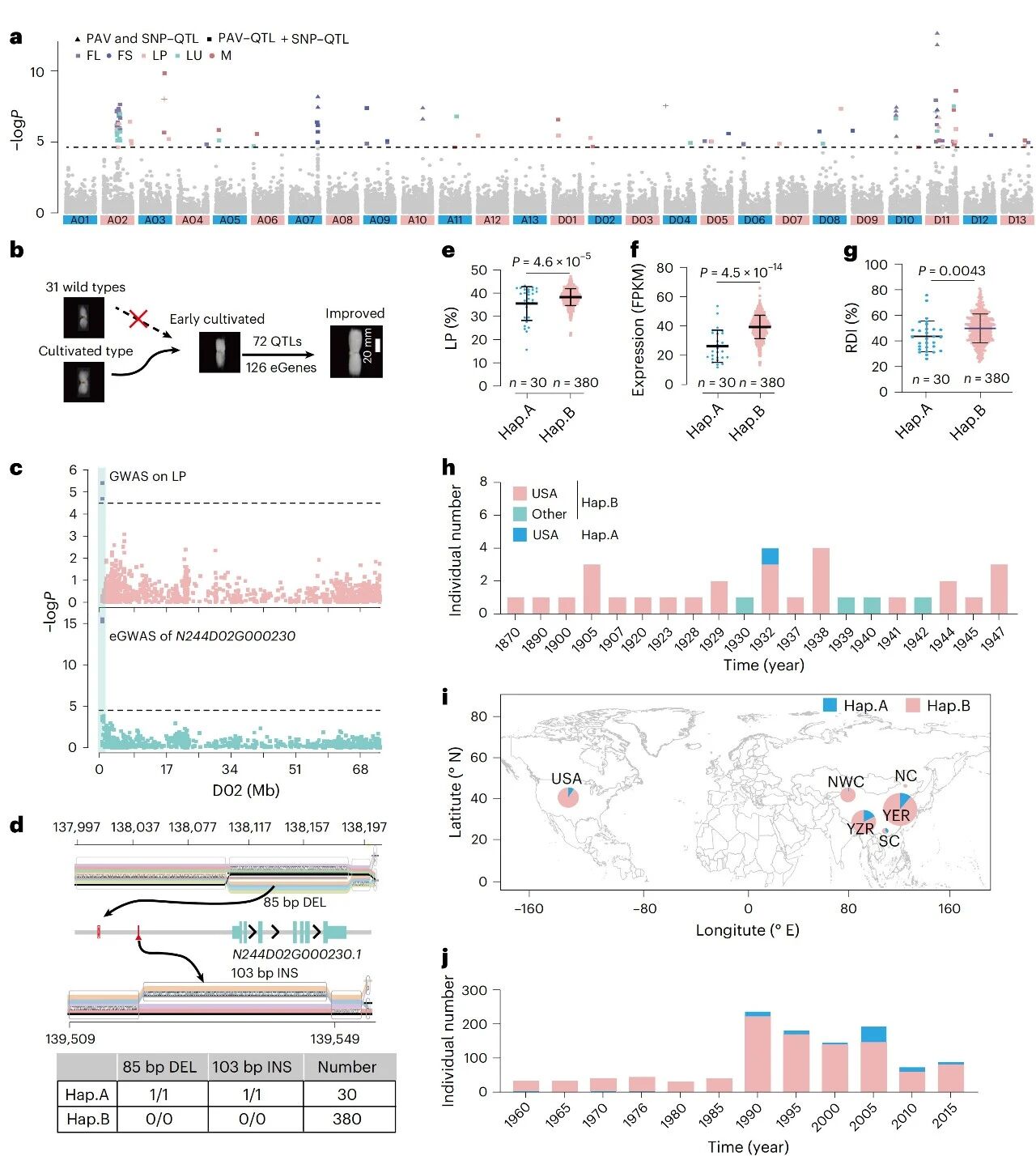 圖6?PAV-GWAS揭示“隱藏”的QTL