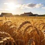 單細胞與空間轉錄組整合分析，揭示大麥從分生組織及器官起始細胞命運決定到特定花器官起始過(guò)程中的關(guān)鍵轉錄事件與時(shí)空軌跡