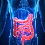 利用殼寡糖調節腸道菌群改善IgA腎病領(lǐng)域取得重要科研進(jìn)展《Gut Microbes》