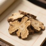 川芎水稻輪作內在機制解析研究進(jìn)展丨《Journal of Cleaner Production》成都中醫藥大學(xué)國錦琳教授團隊