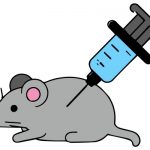 哥本哈根大學(xué)揭示膳食纖維其在特定病原體感染背景下的復雜性《Microbiome》